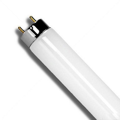 40W 4' Tubo Fluorescente Blanco