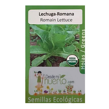 Semilla Lechuga Romana