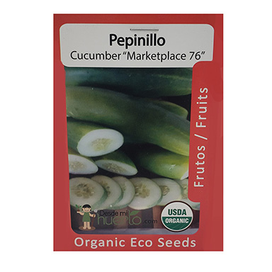 Semilla Pepinillo Cucumber