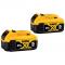 20V DW Bateria Ion Litio 5Ah 2pk