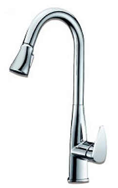 Bungee SL Kitchen Sink Faucet