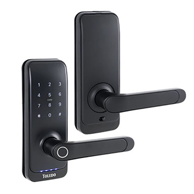 Toledo Cerr Mango Inteligente