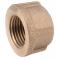 1/2" Cap Hembra Bz
