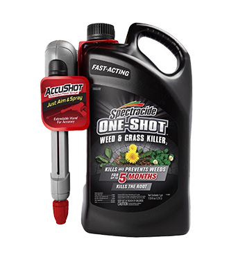 Wd/vgtn Klr On-sht 1gal