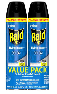 Raid Fly Insect 2pk Value Size